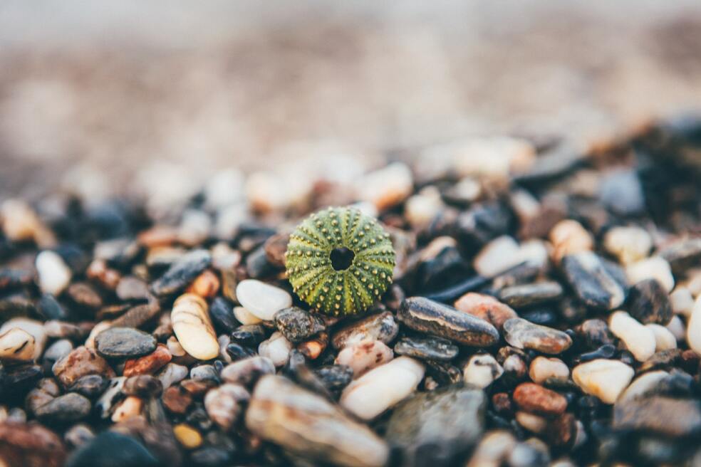 Itsemyötätunnon voimaa! by Selfcompassion.fi 